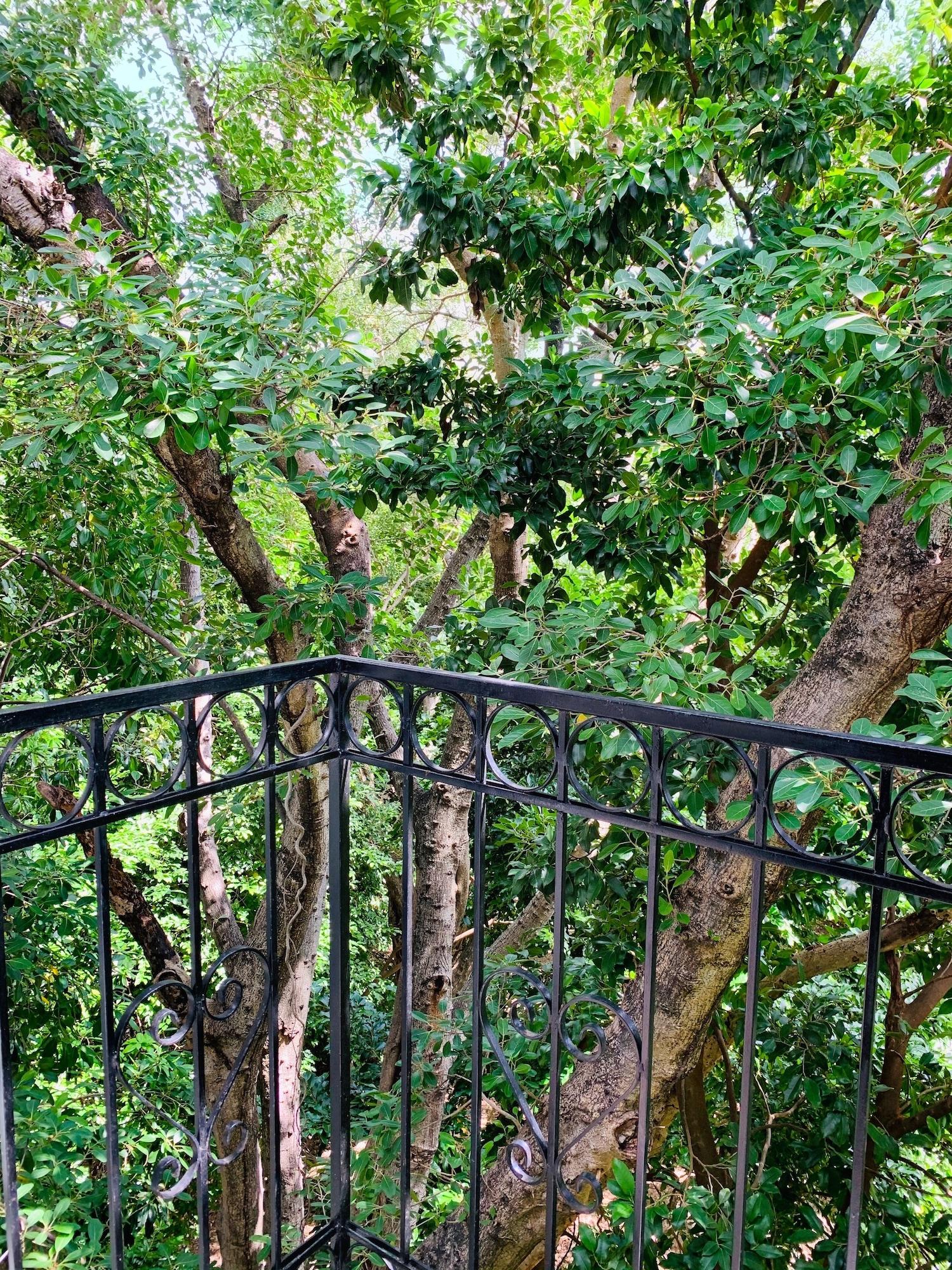 Villa Antilope Cancún Buitenkant foto